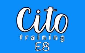 Cito Training E8